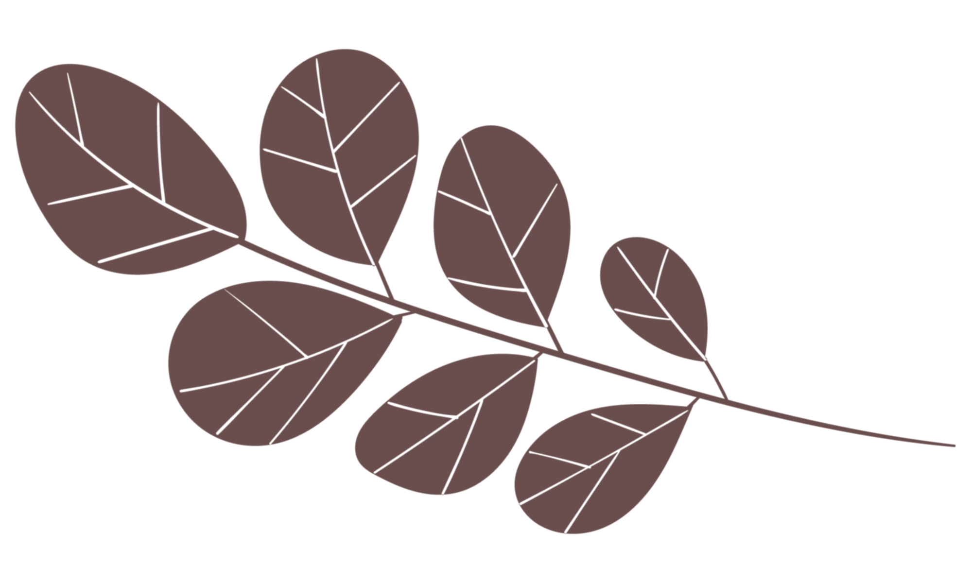 ornament 2 1