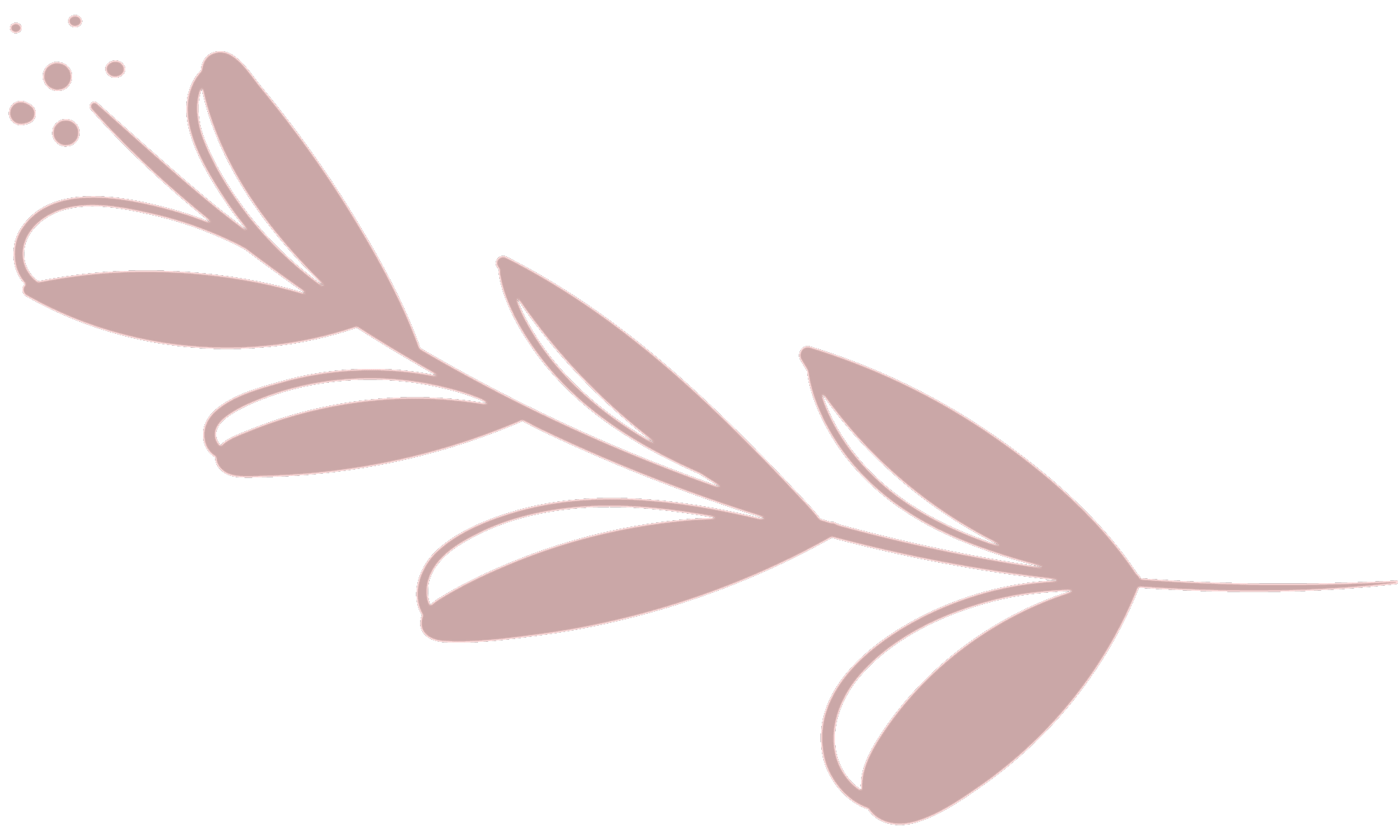 ornament q 1